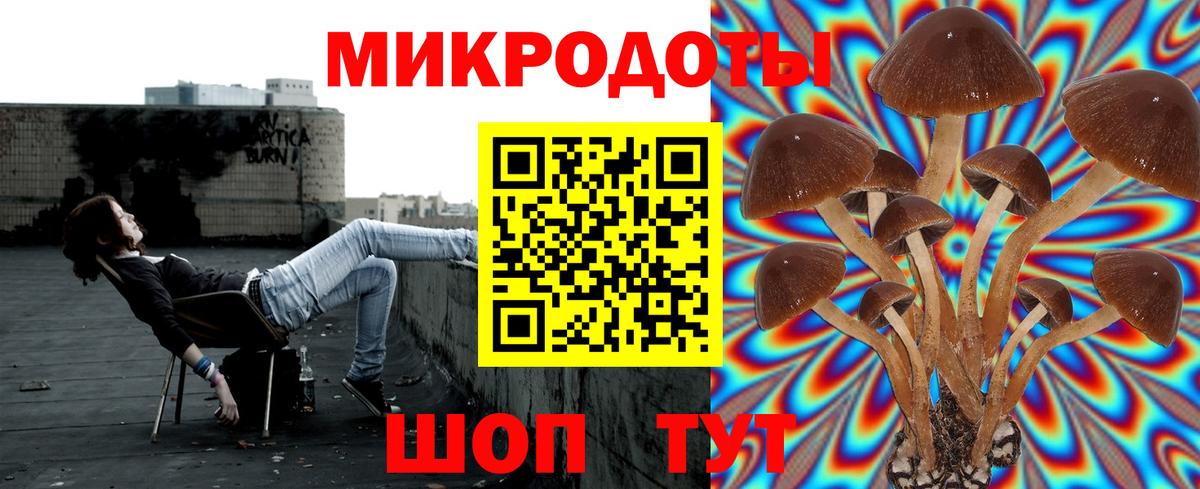 Галлюциногенные грибы прущие грибы  Вход с VPN  Киселёвск 